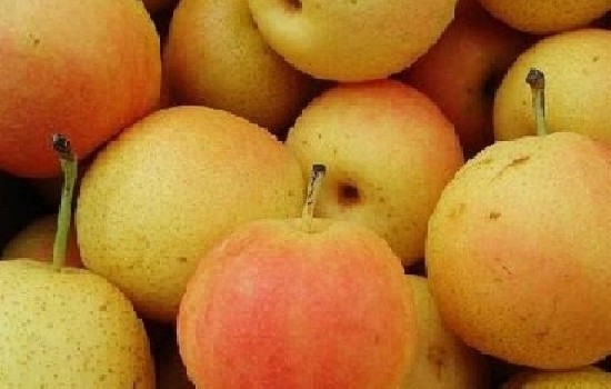 梨子一般几月成熟采摘？