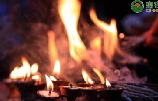 中元节是几月几日？中元节为什么要吃鸭？